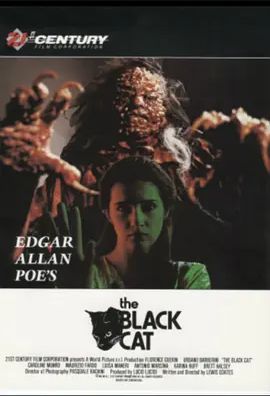 黑猫 1991
